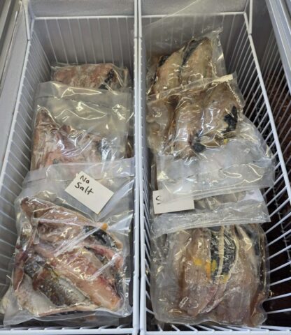 Salted and plain mullet fillets