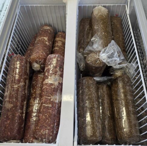 mullet berley & mussel berley